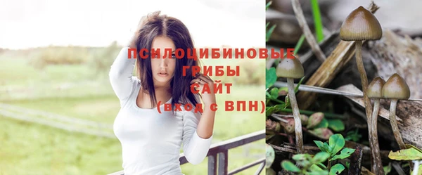mix Абаза