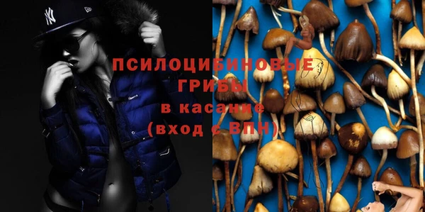 крисы Абинск