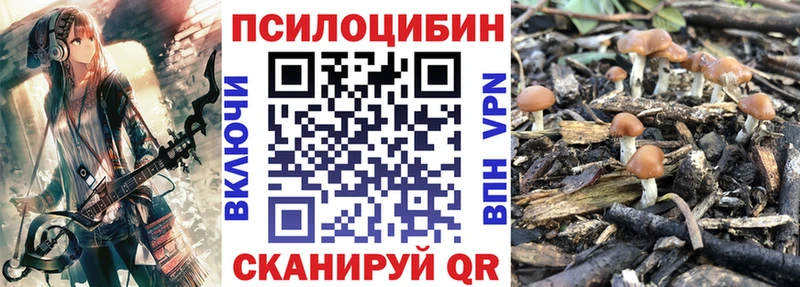 Псилоцибиновые грибы мицелий  как найти   Сызрань 
